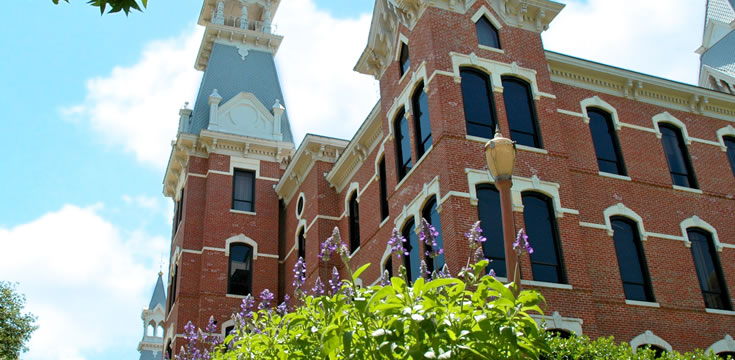 7x24小时发卡的自动攻击网站工具下载